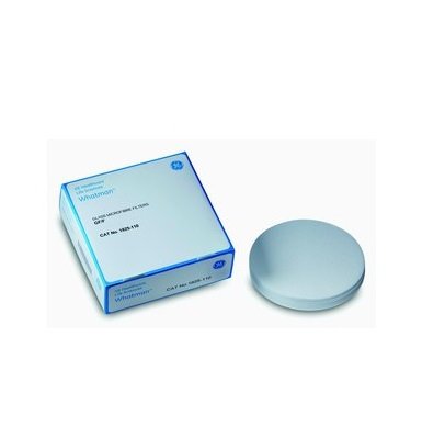 Whatman Filtre Kağıdı Grade GF/F